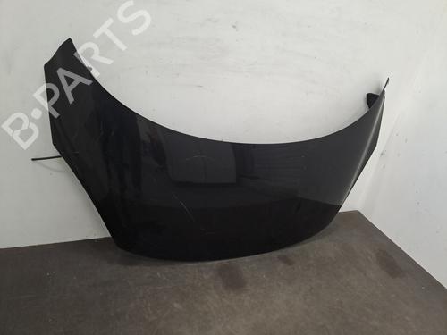 Hood RENAULT SCÉNIC III (JZ0/1_) 1.9 dCi (JZ0J, JZ1J, JZ1K, JZ1S) | BP28406940C1