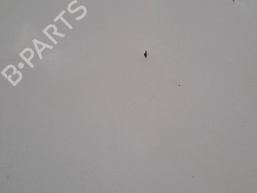 Left tailgate PEUGEOT EXPERT (224_) 2.0 HDI 16V | BP28391899C76 