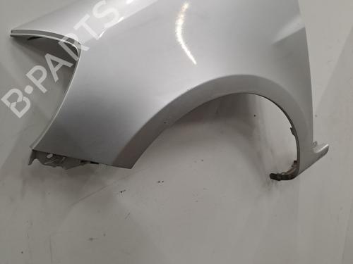 Left front fenders RENAULT CLIO III (BR0/1, CR0/1) 1.2 16V (BR02, BR0J, BR11, CR02, CR0J, CR11) | BP29880351C41