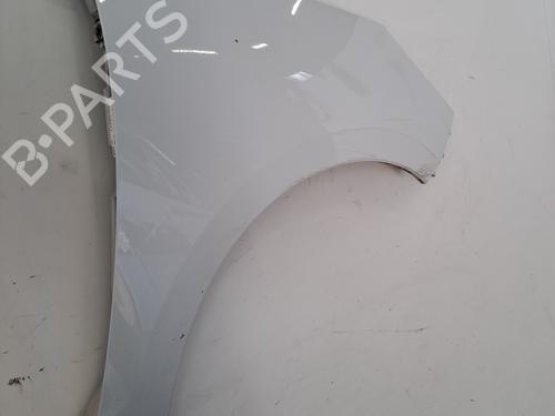 Right front fenders RENAULT SCÉNIC III (JZ0/1_) 1.5 dCi | BP29268566C42 