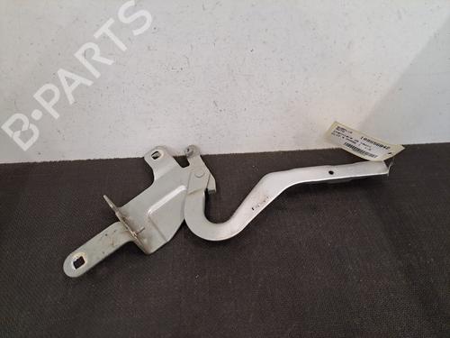 Hinge/Door check strap RENAULT CLIO IV (BH_) 1.5 dCi 75 | BP28391884C146 
