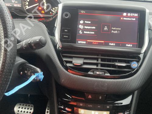 Left front door PEUGEOT 208 I (CA_, CC_) 1.2 THP 110 | BP29638479C2 