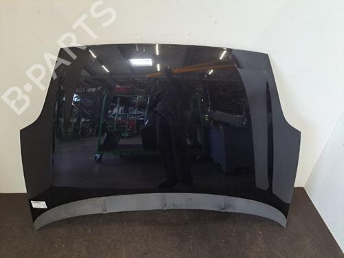 Used Hood FIAT GRANDE PUNTO (199_) 1.3 D Multijet (75 hp) 28393187