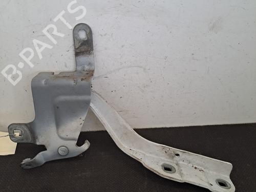 Hinge/Door check strap RENAULT CLIO IV (BH_) 1.5 dCi 75 | BP28395726C146