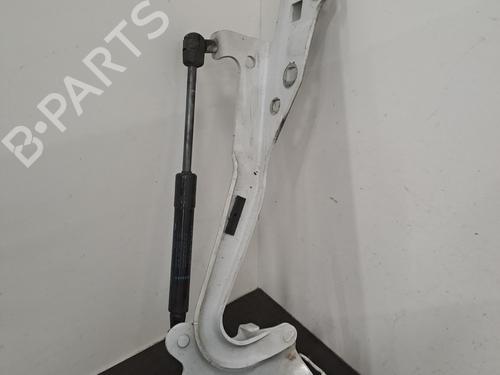 hingedoor-check-strap-renault-scenic-iii-jz01_-2008-2009-2010-2011-2012-2013-2014-2015-2016-28406118 main image