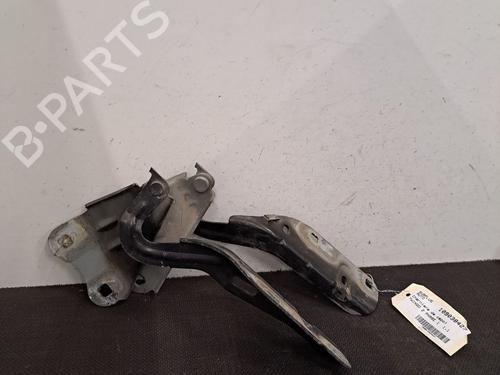 hingedoor-check-strap-renault-twingo-ii-cn0_-2007-28403193 main image