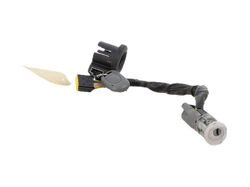 Used Ignition barrel Ignition barrel 38789624 38789624