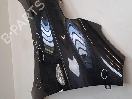 Left front fenders HYUNDAI i20 I (PB, PBT) 1.1 CRDi | BP28395439C41 