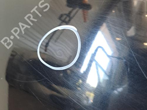 Left rear door RENAULT SCÉNIC III (JZ0/1_) 1.6 dCi (JZ00, JZ12) | BP28400784C4 