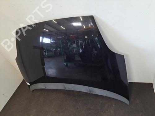Hood FIAT GRANDE PUNTO (199_) 1.3 D Multijet | BP28393187C1