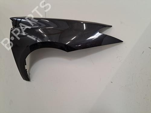 Right front fenders RENAULT LAGUNA III (BT0/1) 1.5 dCi (BT00, BT0A, BT0T, BT1J) | BP28395374C42