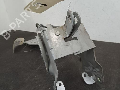 Hinge/Door check strap RENAULT SCÉNIC III (JZ0/1_) 1.6 dCi (JZ00, JZ12) | BP29326819C146 