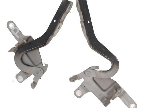 Used Hinge/Door check strap RENAULT CLIO IV Grandtour (KH_) 1.5 dCi 90 (KHN3, KHN4) (90 hp) 31321535
