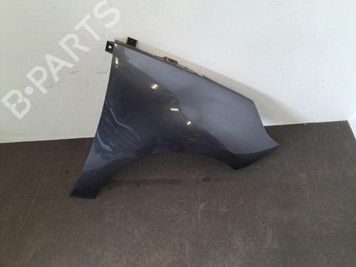 Right front fenders RENAULT SCÉNIC III (JZ0/1_) 1.9 dCi (JZ0J, JZ1J, JZ1K, JZ1S) | BP28402484C42 