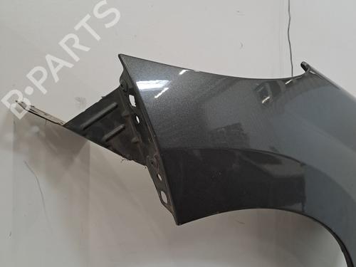 Left front fenders PEUGEOT 207 (WA_, WC_) 1.4 HDi | BP28392025C41