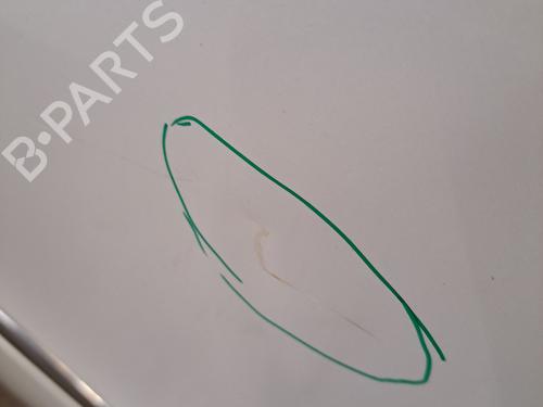 Left rear door RENAULT SCÉNIC III (JZ0/1_) 1.5 dCi (JZ02, JZ0R) | BP29749263C4