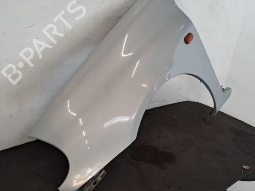 Używane Błotnik przedni lewy Błotnik przedni lewy RENAULT CLIO II (BB_, CB_) 1.2 (BB0A, BB0F, BB10, BB1K, BB28, BB2D, BB2H, CB0A,... (58 hp) 39700674 39700674