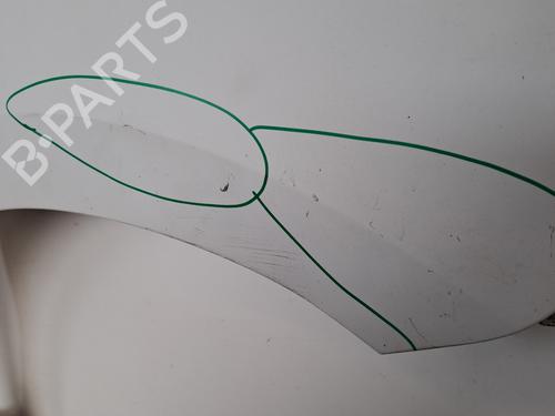 Right front fenders RENAULT KANGOO / GRAND KANGOO II (KW0/1_) 1.5 dCi 90 (KW05, KW08, KW0G, KW11) | BP28406776C42 