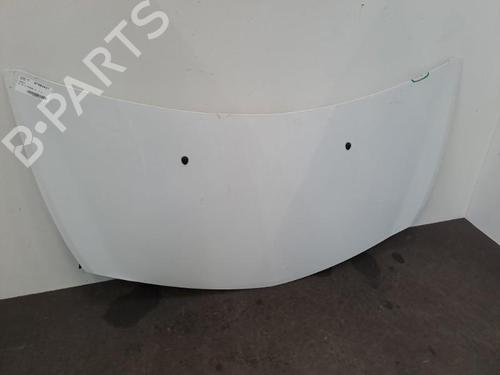 Hood RENAULT CLIO III (BR0/1, CR0/1) 1.2 16V Hi-Flex (BR1U, CR1U) | BP28393234C1 