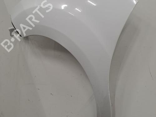Left front fenders CITROËN C3 II (SC_) 1.6 BlueHDi 100 | BP29843321C41