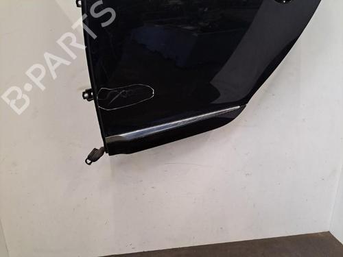 Left rear door RENAULT MEGANE III Hatchback (BZ0/1_, B3_) 1.9 dCi (BZ0N, BZ0J) | BP28393469C4 