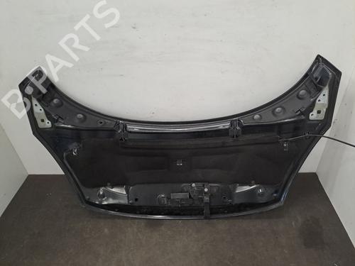 Hood RENAULT SCÉNIC III (JZ0/1_) 1.9 dCi (JZ0J, JZ1J, JZ1K, JZ1S) | BP28406940C1