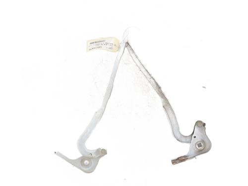 hingedoor-check-strap-citroen-berlingo-er_-ec_-2018-33607676 main image