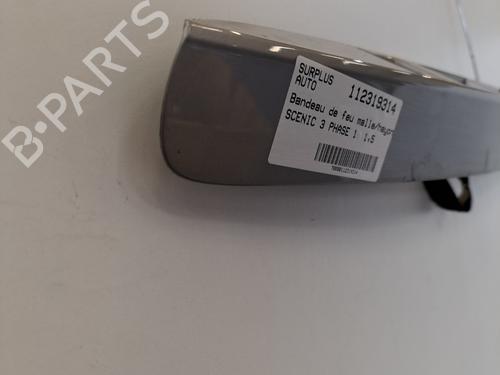 Rear center light RENAULT SCÉNIC III (JZ0/1_) 1.5 dCi | BP29501697I39 