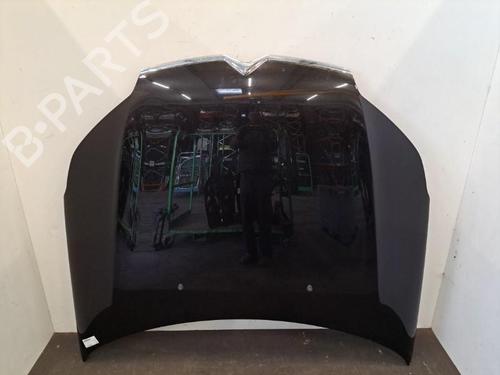 Hood CITROËN C5 III (RD_) 2.0 HDi (RDRHD8, RDRHDJ, RDRHR8, RDRHRJ) | BP28407376C1