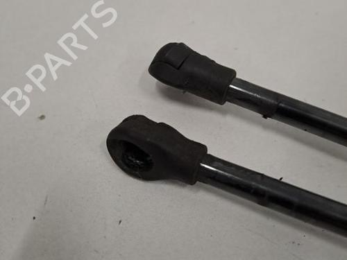Used Tailgate lift support RENAULT CLIO V (B7_) 1.0 SCe 75 (B7M5) (72 hp) 28396305