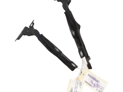 hingedoor-check-strap-citroen-c3-ii-sc_-2009-33945343 main image