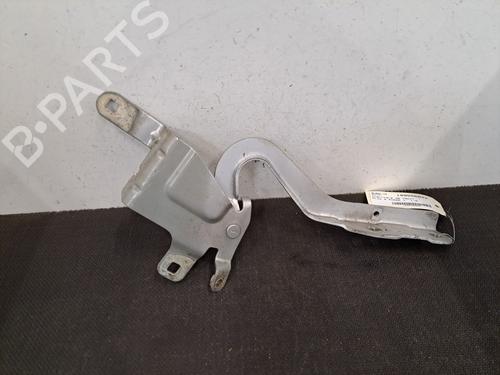 Hinge/Door check strap RENAULT CLIO IV (BH_) 1.5 dCi 75 | BP28391884C146 