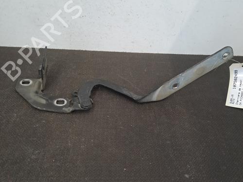 Used Hinge/Door check strap CITROËN C4 Picasso I MPV (UD_) 2.0 HDi 138 (136 hp) 28389369
