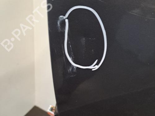 Left front door HYUNDAI SANTA FÉ II (CM) 2.2 CRDi GLS 4x4 | BP28398583C2 