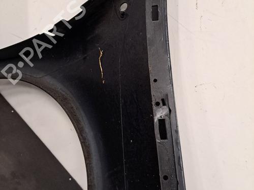 Right front fenders RENAULT CLIO III (BR0/1, CR0/1) 1.2 16V (BR02, BR0J, BR11, CR02, CR0J, CR11) | BP32317948C42