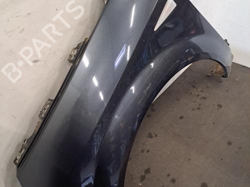 Guarda-lamas esquerdo Guarda-lamas esquerdo RENAULT SCÉNIC II (JM0/1_) [2003-2010] 33803000 33803000