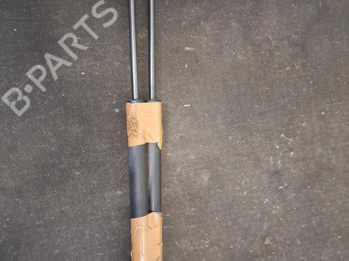 Tailgate lift support RENAULT CLIO IV (BH_) 0.9 TCe 90 (BHNF, BHMA, BHMH, BHJK, BHJR) | BP30362779C138