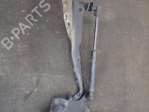 Used Hinge/Door check strap RENAULT SCÉNIC III (JZ0/1_) 1.5 dCi (110 hp) 29508273