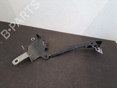 hingedoor-check-strap-renault-scenic-iii-jz01_-2008-2009-2010-2011-2012-2013-2014-2015-2016-28392140 main image