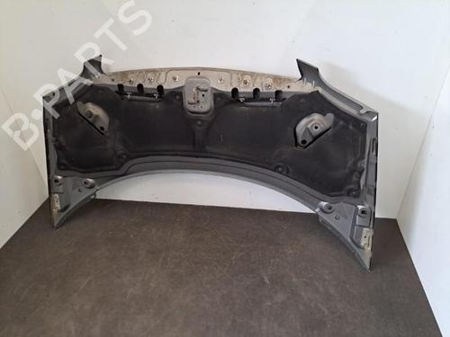 Hood LANCIA PHEDRA (179_) 2.0 JTD (179.AXE1A) | BP28404731C1 