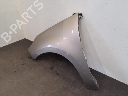 Left front fenders RENAULT SCÉNIC III (JZ0/1_) 1.5 dCi | BP28390942C41 