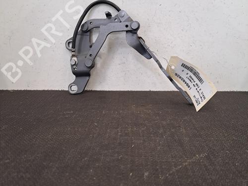 Hinge/Door check strap BMW 3 (E90) 316 d | BP28392178C146 