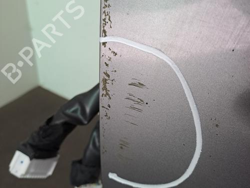 Left front door NISSAN X-TRAIL II (T31) 2.0 dCi 4x4 | BP29549708C2 
