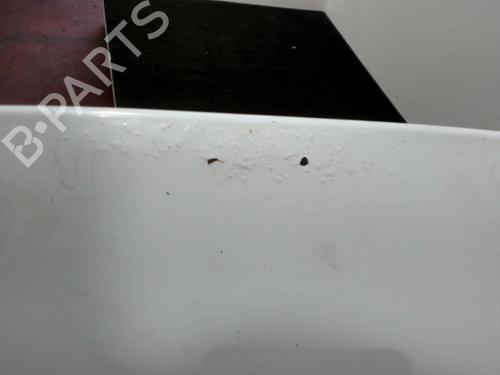 hood-renault-trafic-ii-van-fl-2001-28394191 main image