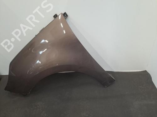 Left front fenders RENAULT SCÉNIC III (JZ0/1_) 1.5 dCi | BP28399064C41 