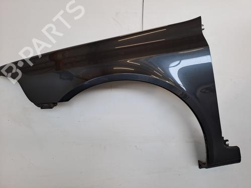 Used Left front fenders RENAULT LAGUNA II (BG0/1_) 1.8 16V (BG04, BG0B, BG0C, BG0V) (117 hp) 28389602