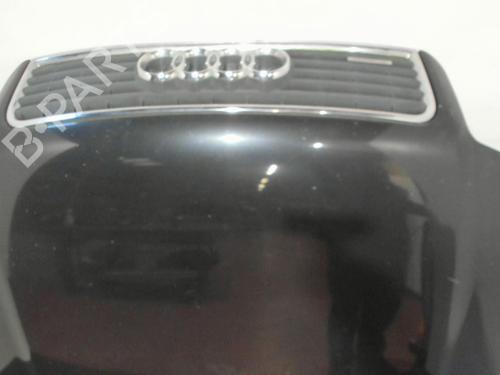 Used Hood Hood AUDI A4 B6 (8E2) 2.5 TDI quattro (180 hp) 28405310 28405310