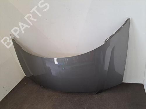 Hood LANCIA PHEDRA (179_) 2.0 JTD (179.AXE1A) | BP28404731C1 