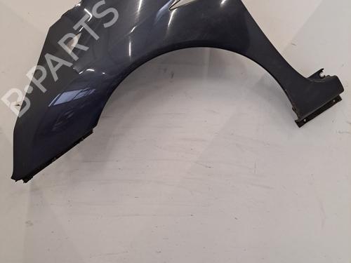 Used Left front fenders RENAULT ESPACE IV (JK0/1_) 2.0 dCi (JK01, JK02, JK1J, JK1K, JK1H) (150 hp) 30391805