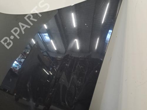 Hood FIAT PANDA (169_) 1.2 (169AXF2A, 169AXF1A) | BP28395796C1 